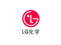 现代LG合作投资11亿美元在印尼建厂生产电池